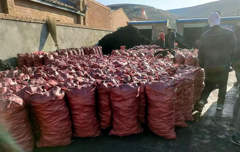 202301121673512075120161.png 640 (1).png