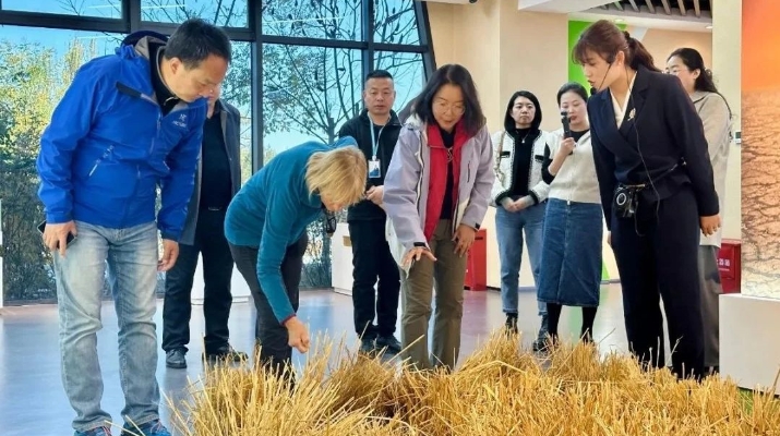 202410241729770197414998.jpg 微信圖片_20241024193909_副本.jpg