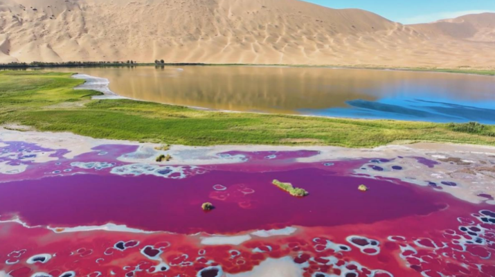 202505211747791493140059.png 微信圖片_20250521093707.png