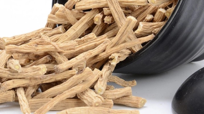 享游渭河源丨千年藥香浸潤的山水秘境，開啟一場康養(yǎng)之旅